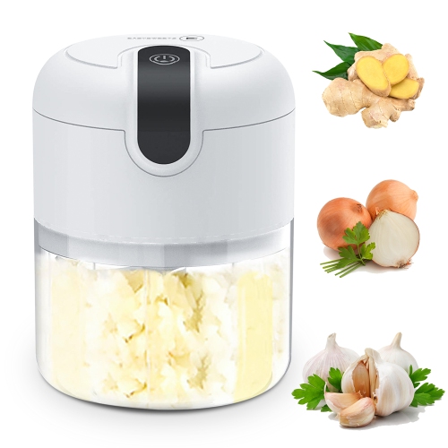 Image 1 de 5.. Mini hachoir pour robot culinaire