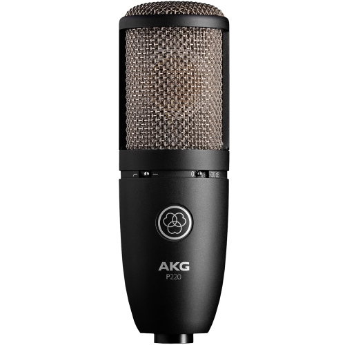 Image 1 de 2.. Microphone à condensateur à grand diaphragme P220 d'AKG